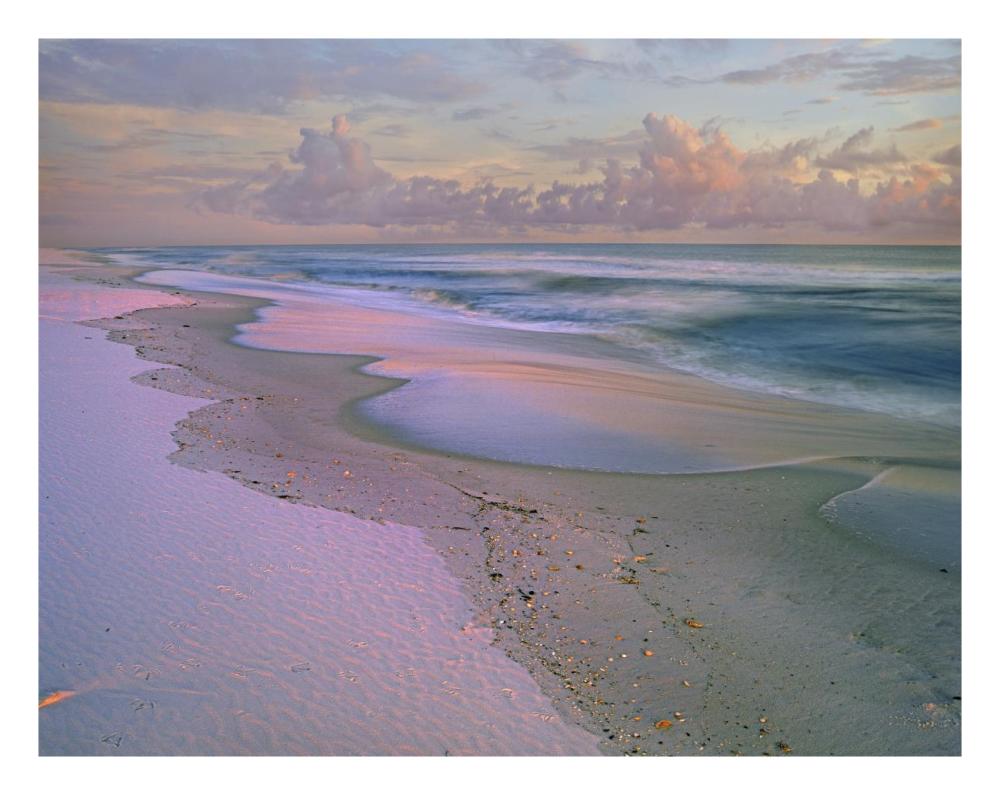 Beach At Sunrise, Gulf Islands National Seashore, Florida-Paper Art-26X20