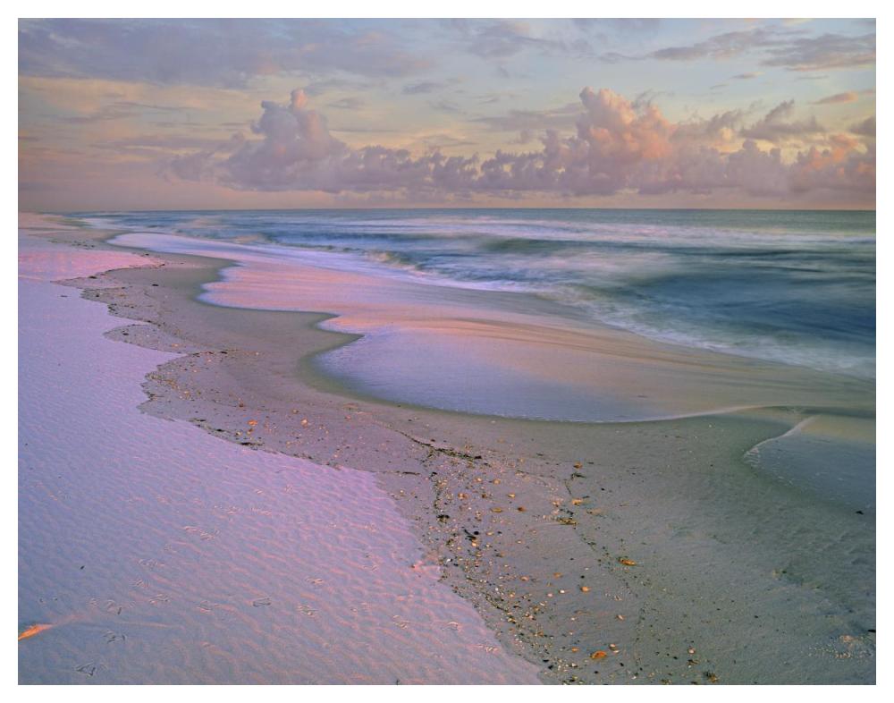 Beach At Sunrise, Gulf Islands National Seashore, Florida-Paper Art-50X38