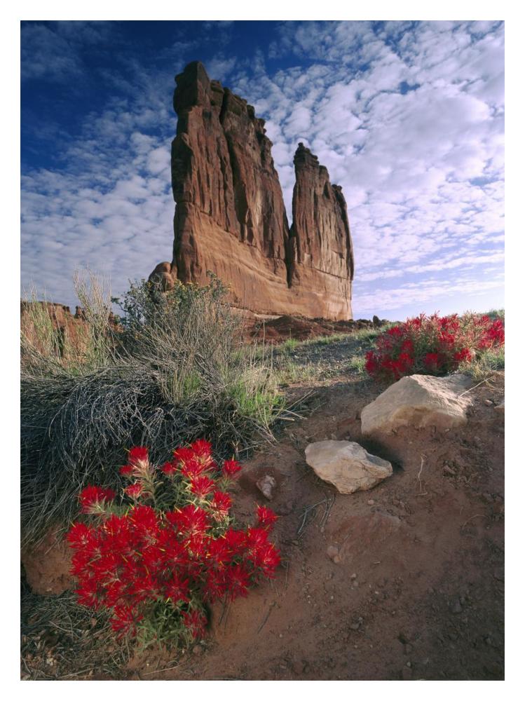 Paintbrush And The Organ Rock, Arches National Park, Utah-Paper Art-14X18