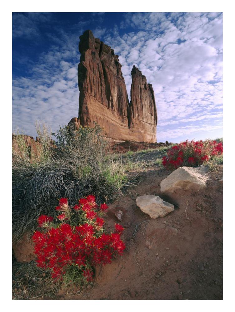 Paintbrush And The Organ Rock, Arches National Park, Utah-Paper Art-20X26