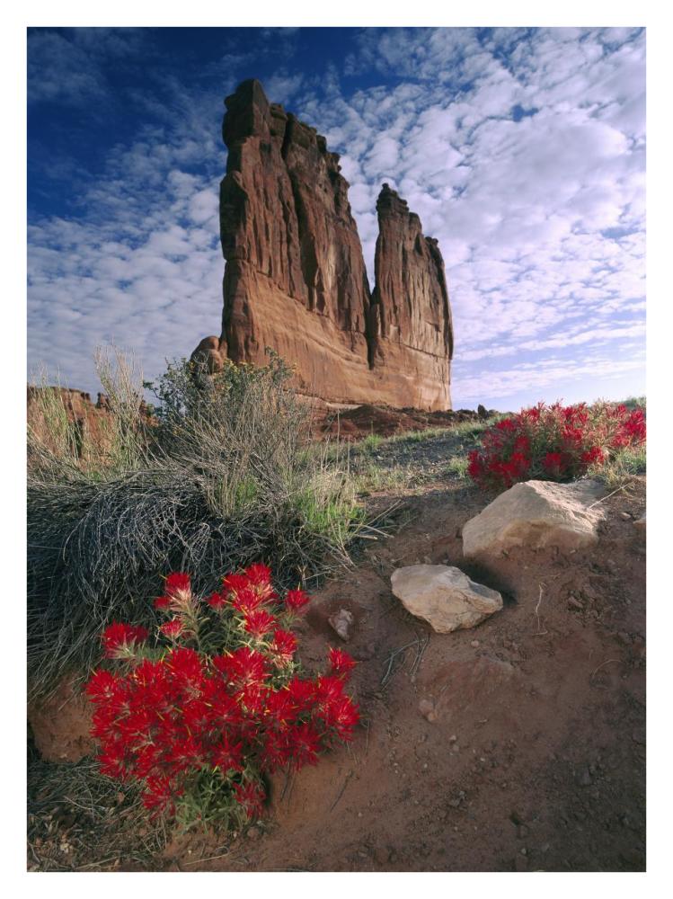 Paintbrush And The Organ Rock, Arches National Park, Utah-Paper Art-26X34