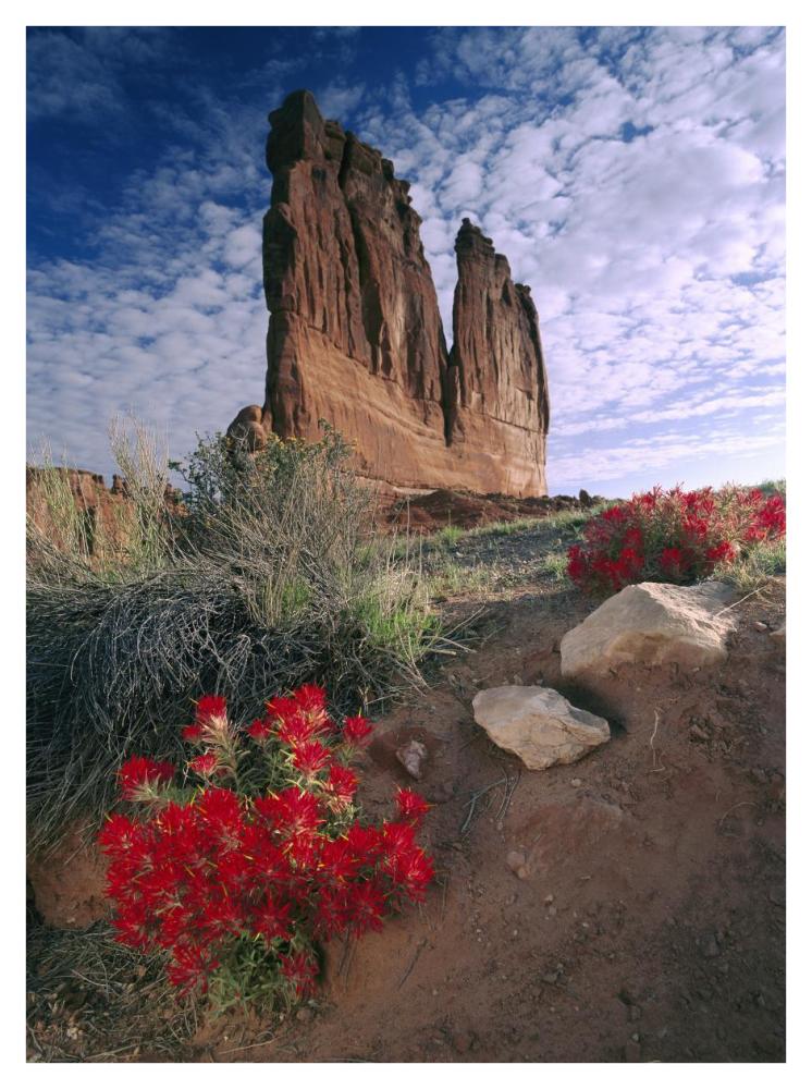 Paintbrush And The Organ Rock, Arches National Park, Utah-Paper Art-32X42