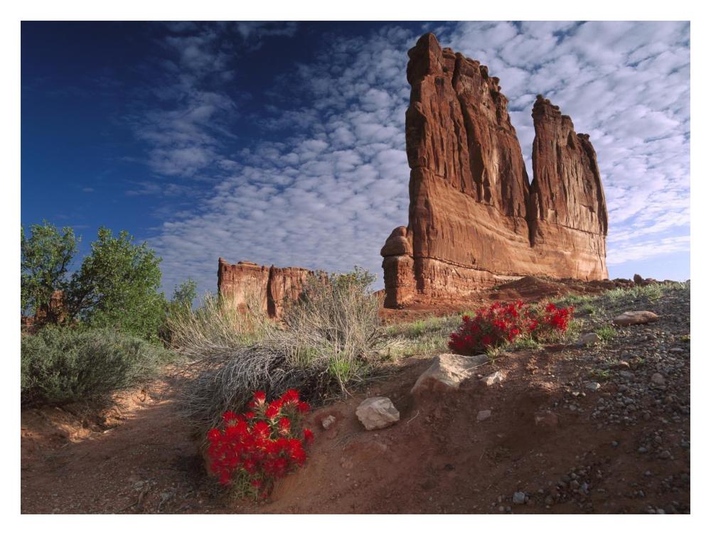Paintbrush And The Organ Rock, Arches National Park, Utah-Paper Art-18X14