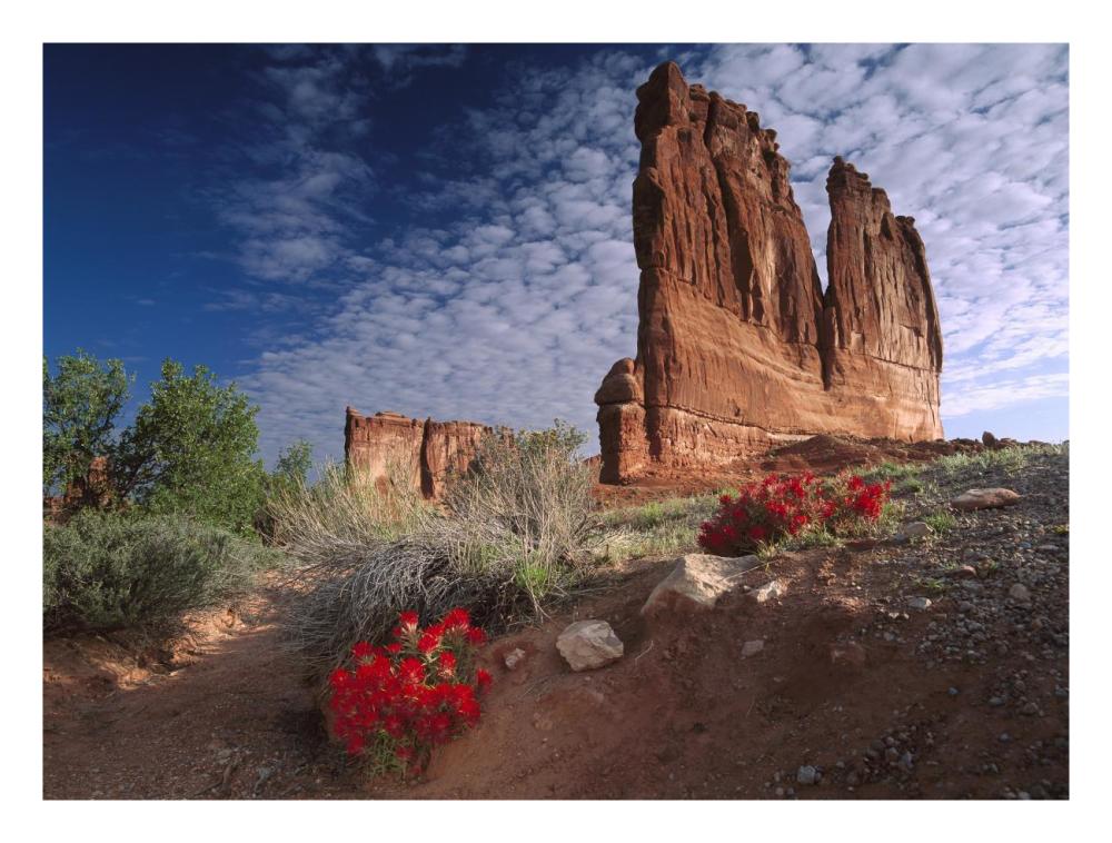 Paintbrush And The Organ Rock, Arches National Park, Utah-Paper Art-26X20