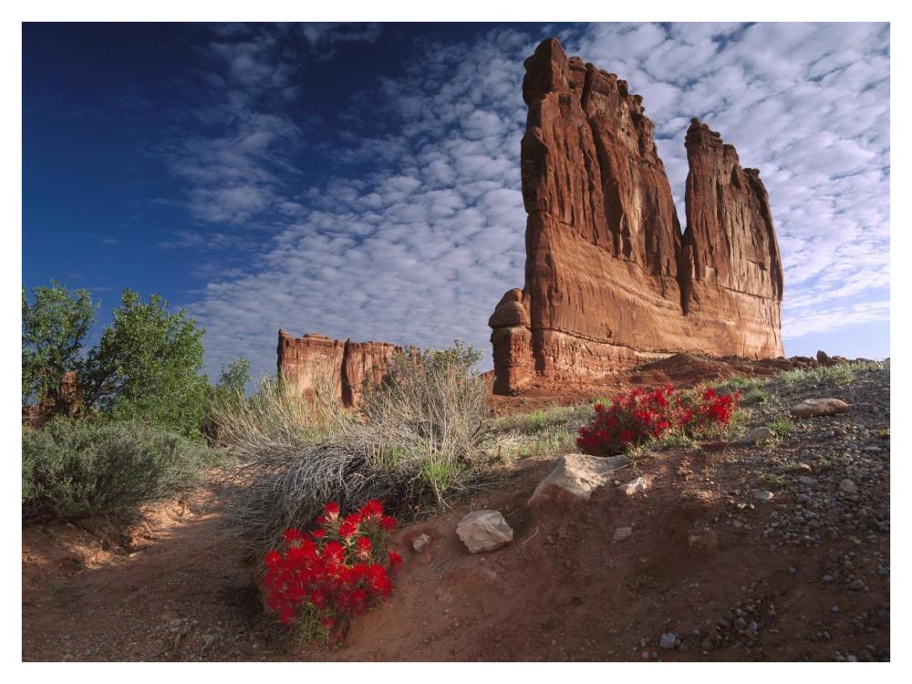Paintbrush And The Organ Rock, Arches National Park, Utah-Paper Art-42X32