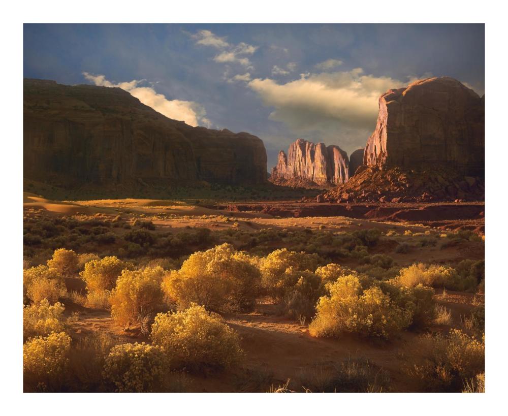 Camel Butte Rising Out Of Desert, Monument Valley, Arizona-Paper Art-22X18