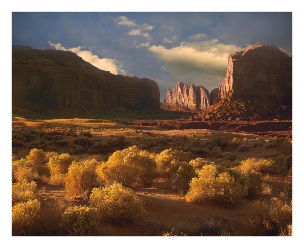 Camel Butte Rising Out Of Desert, Monument Valley, Arizona-Paper Art-26X22