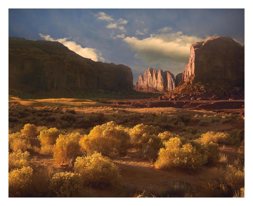Camel Butte Rising Out Of Desert, Monument Valley, Arizona-Paper Art-30X24