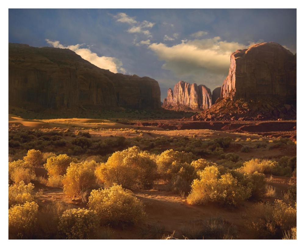 Camel Butte Rising Out Of Desert, Monument Valley, Arizona-Paper Art-37X30