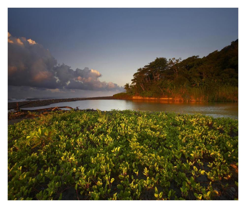 Lagoon Near Coastline, Corcovado National Park, Costa Rica-Paper Art-32X27.2