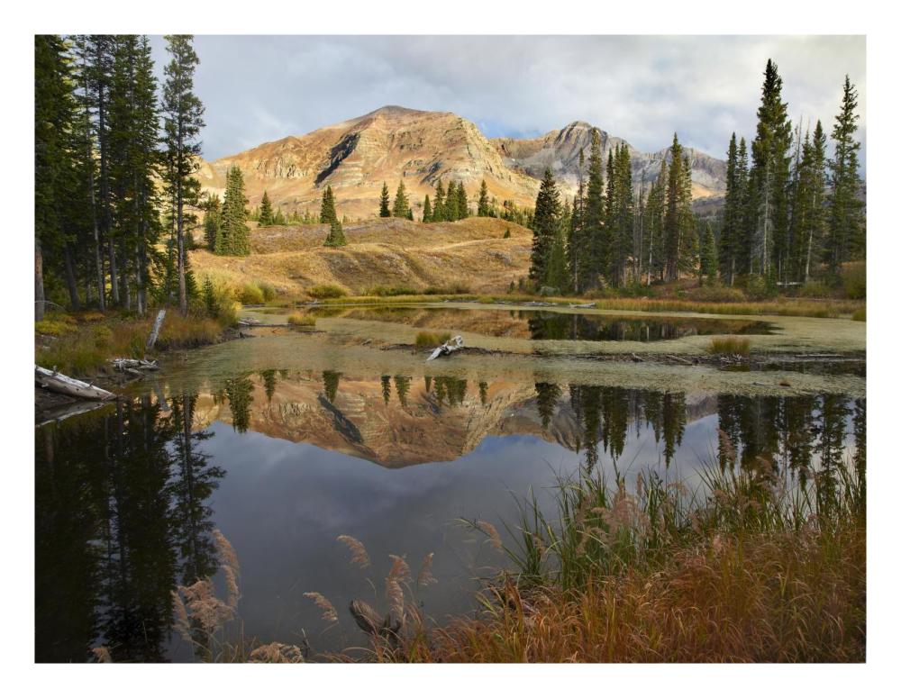 Ruby Range Reflected In Pond, Raggeds Wilderness, Colorado-Paper Art-26X20