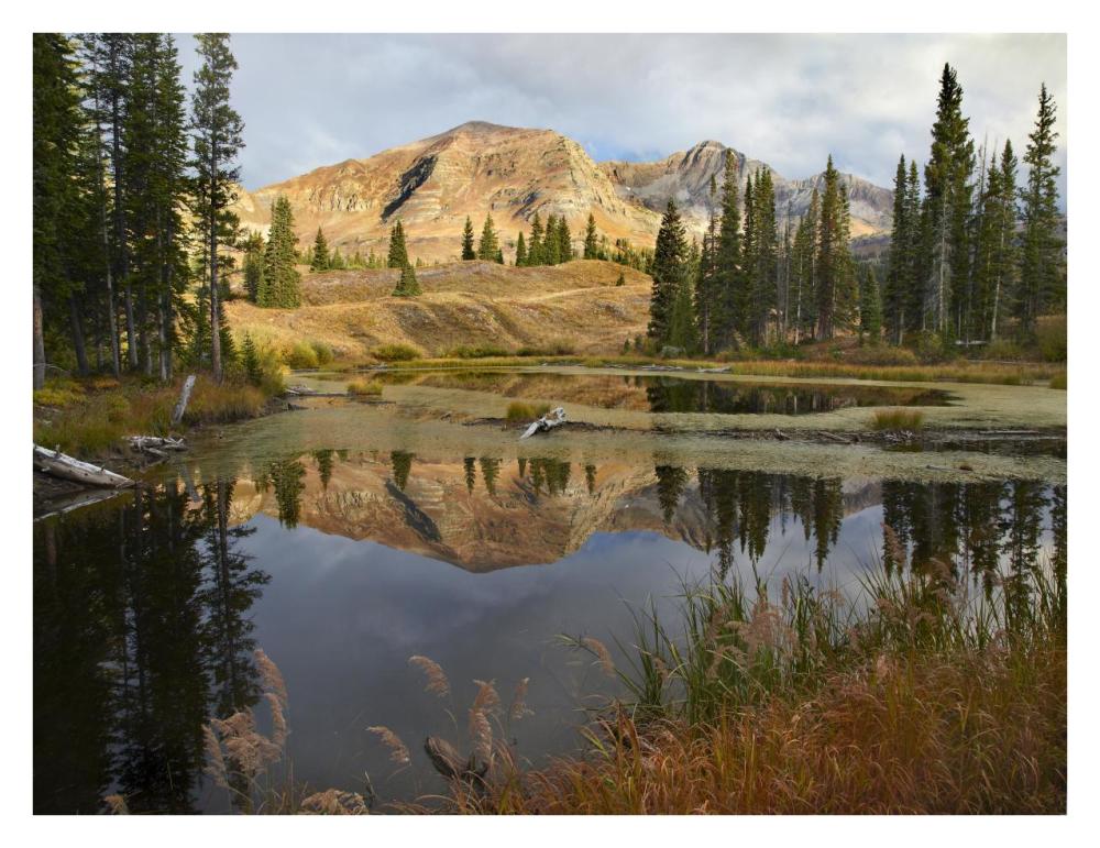 Ruby Range Reflected In Pond, Raggeds Wilderness, Colorado-Paper Art-34X26