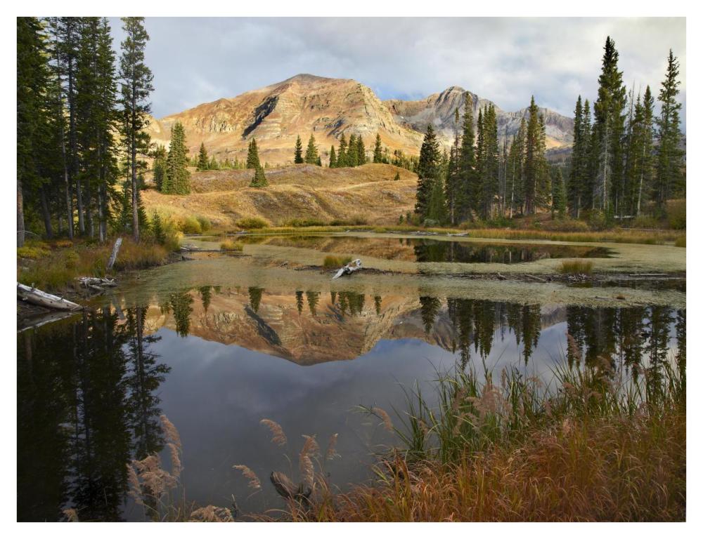 Ruby Range Reflected In Pond, Raggeds Wilderness, Colorado-Paper Art-42X32