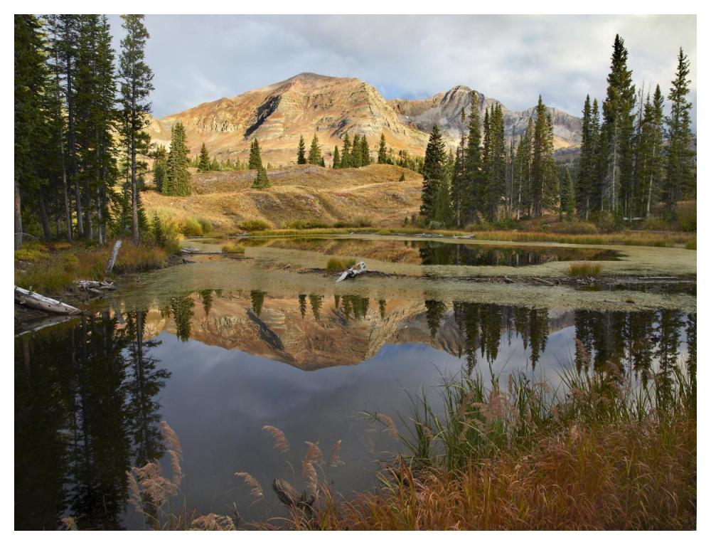 Ruby Range Reflected In Pond, Raggeds Wilderness, Colorado-Paper Art-50X38