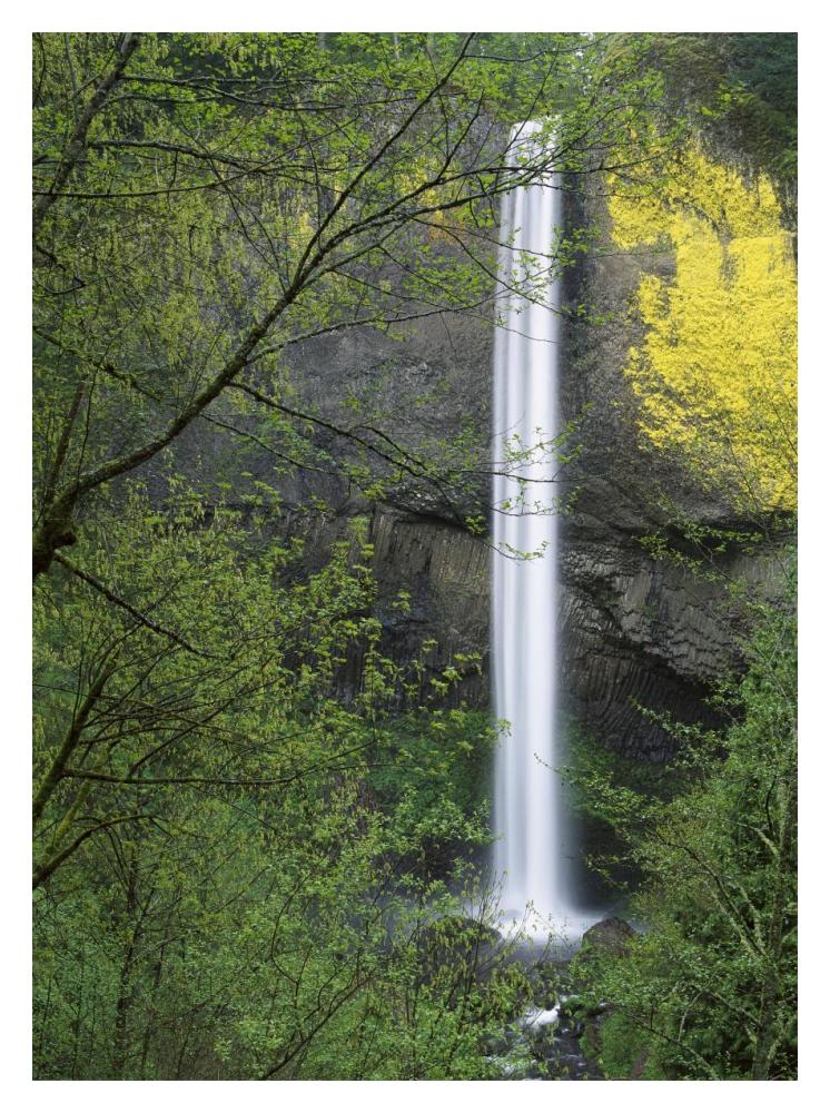 Latourell Falls, Columbia River Gorge Near Portland, Oregon-Paper Art-14X18