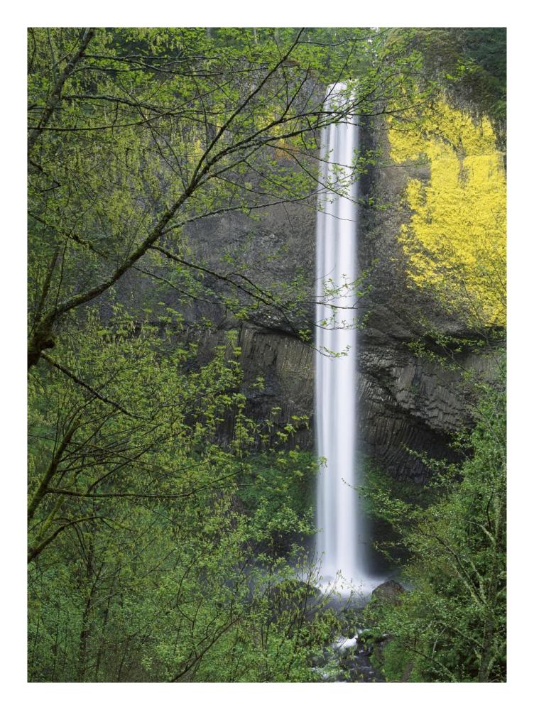 Latourell Falls, Columbia River Gorge Near Portland, Oregon-Paper Art-20X26