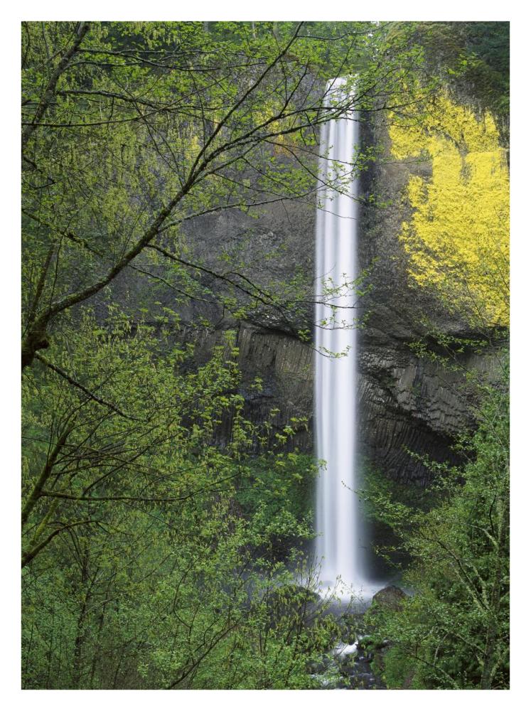 Latourell Falls, Columbia River Gorge Near Portland, Oregon-Paper Art-26X34