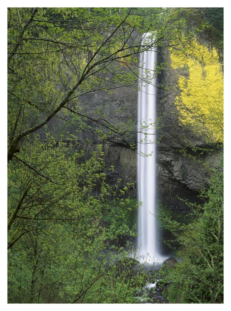 Latourell Falls, Columbia River Gorge Near Portland, Oregon-Paper Art-32X42