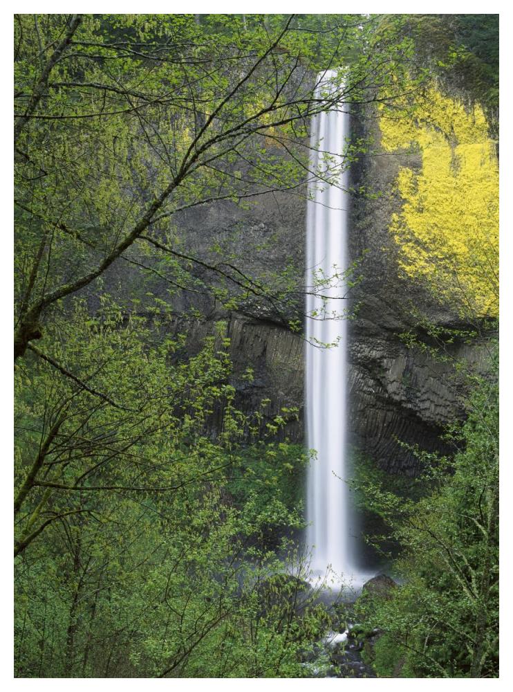 Latourell Falls, Columbia River Gorge Near Portland, Oregon-Paper Art-38X50