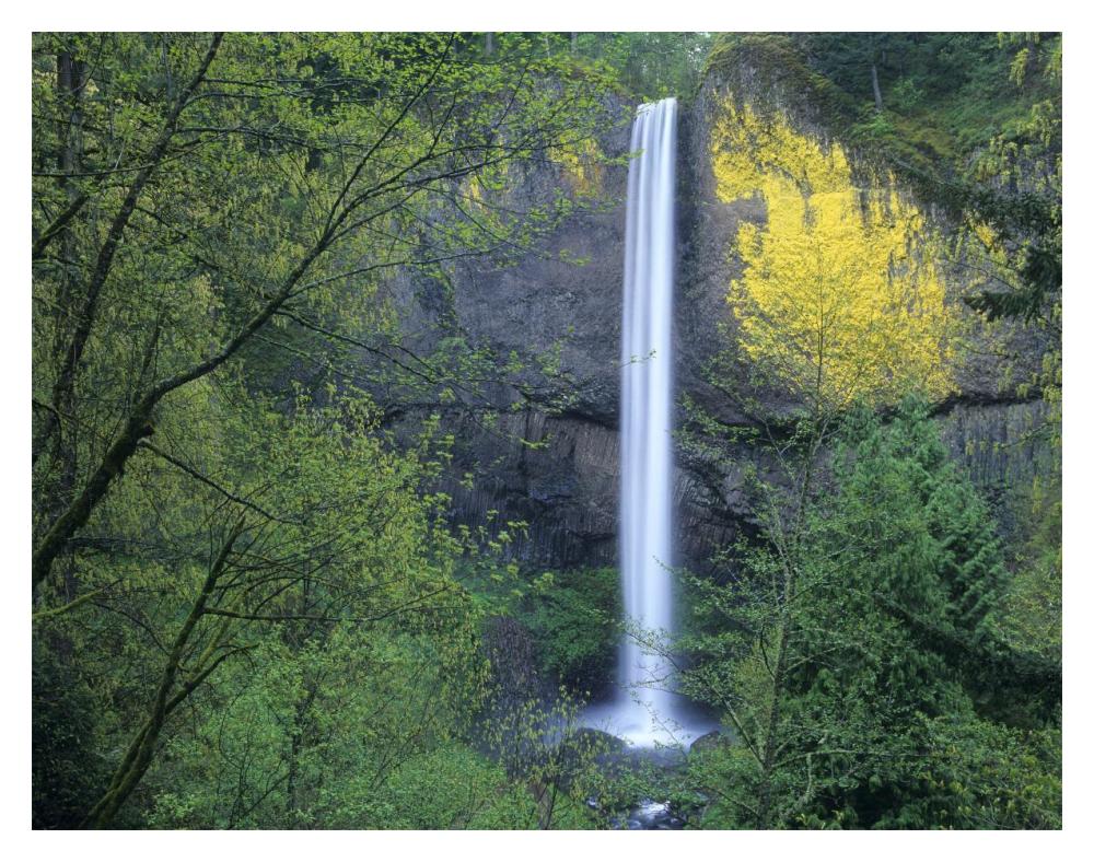 Latourell Falls, Columbia River Gorge Near Portland, Oregon-Paper Art-18X14