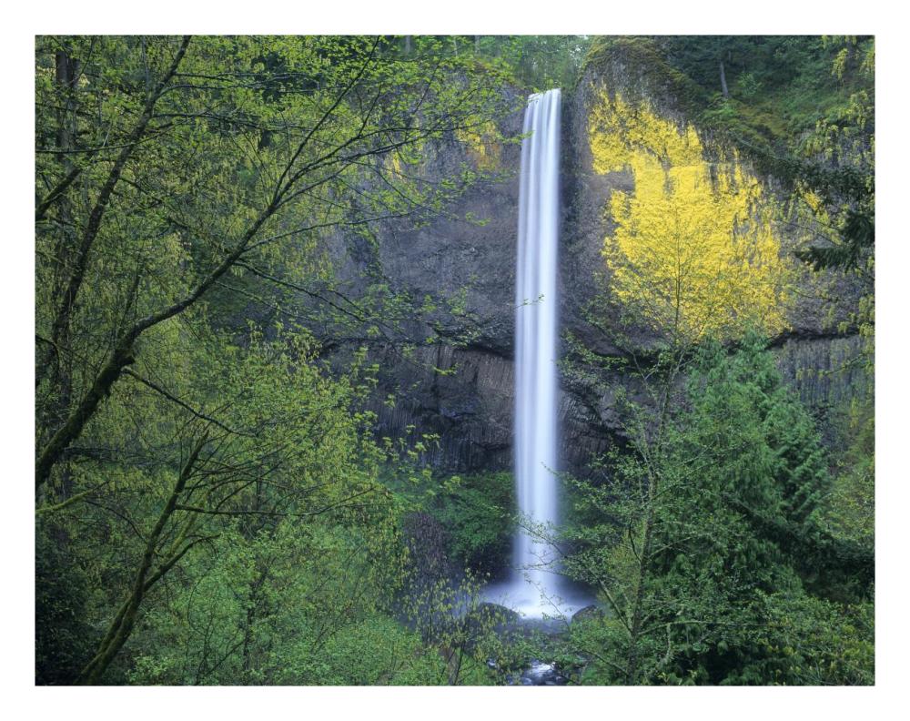 Latourell Falls, Columbia River Gorge Near Portland, Oregon-Paper Art-26X20