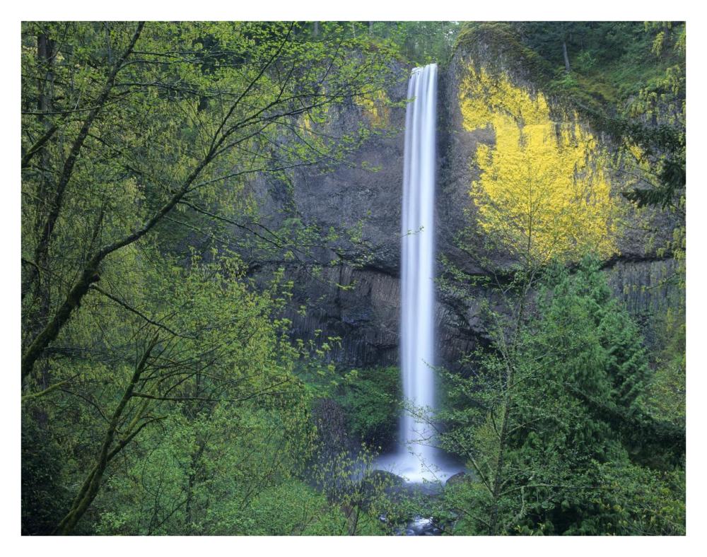 Latourell Falls, Columbia River Gorge Near Portland, Oregon-Paper Art-34X26