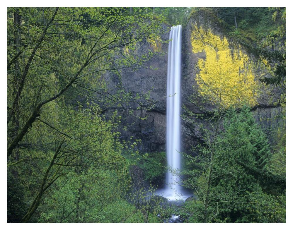 Latourell Falls, Columbia River Gorge Near Portland, Oregon-Paper Art-42X32