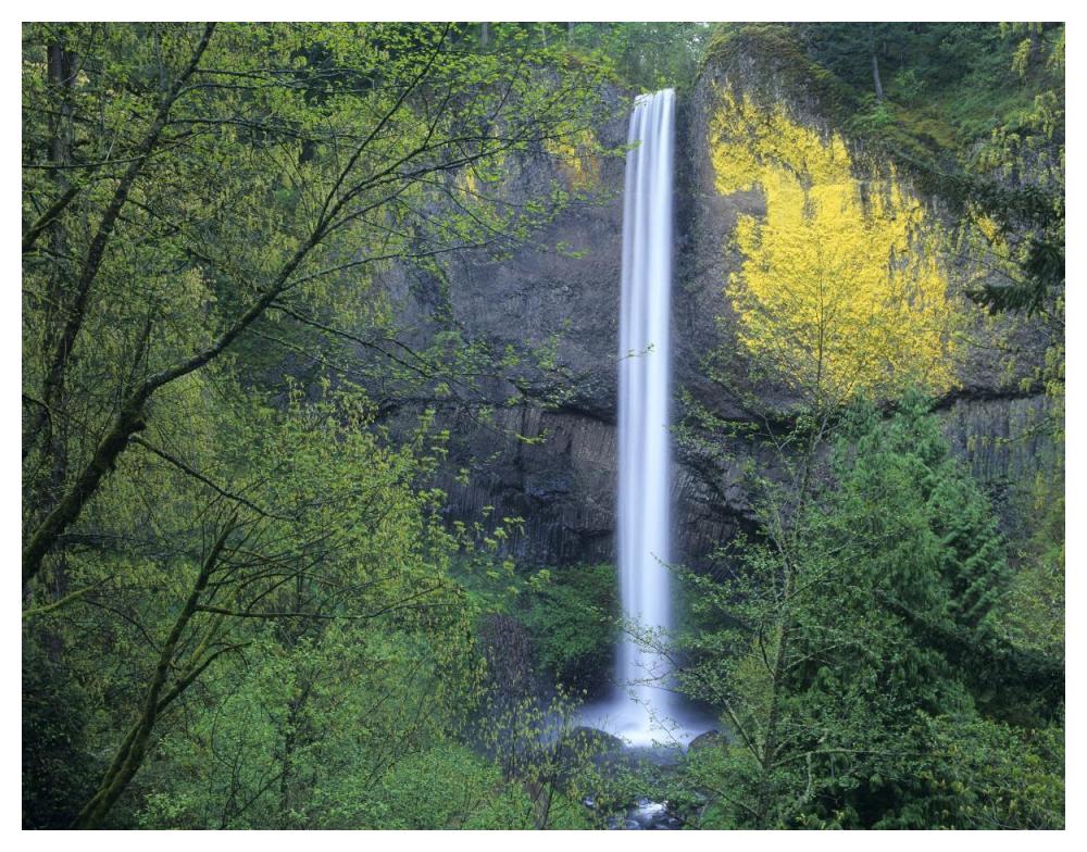 Latourell Falls, Columbia River Gorge Near Portland, Oregon-Paper Art-50X38