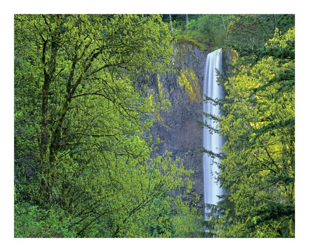 Latourell Falls, Columbia River Gorge Near Portland, Oregon-Paper Art-22X18