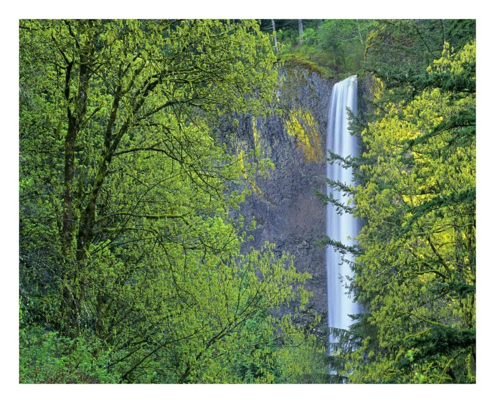 Latourell Falls, Columbia River Gorge Near Portland, Oregon-Paper Art-26X22