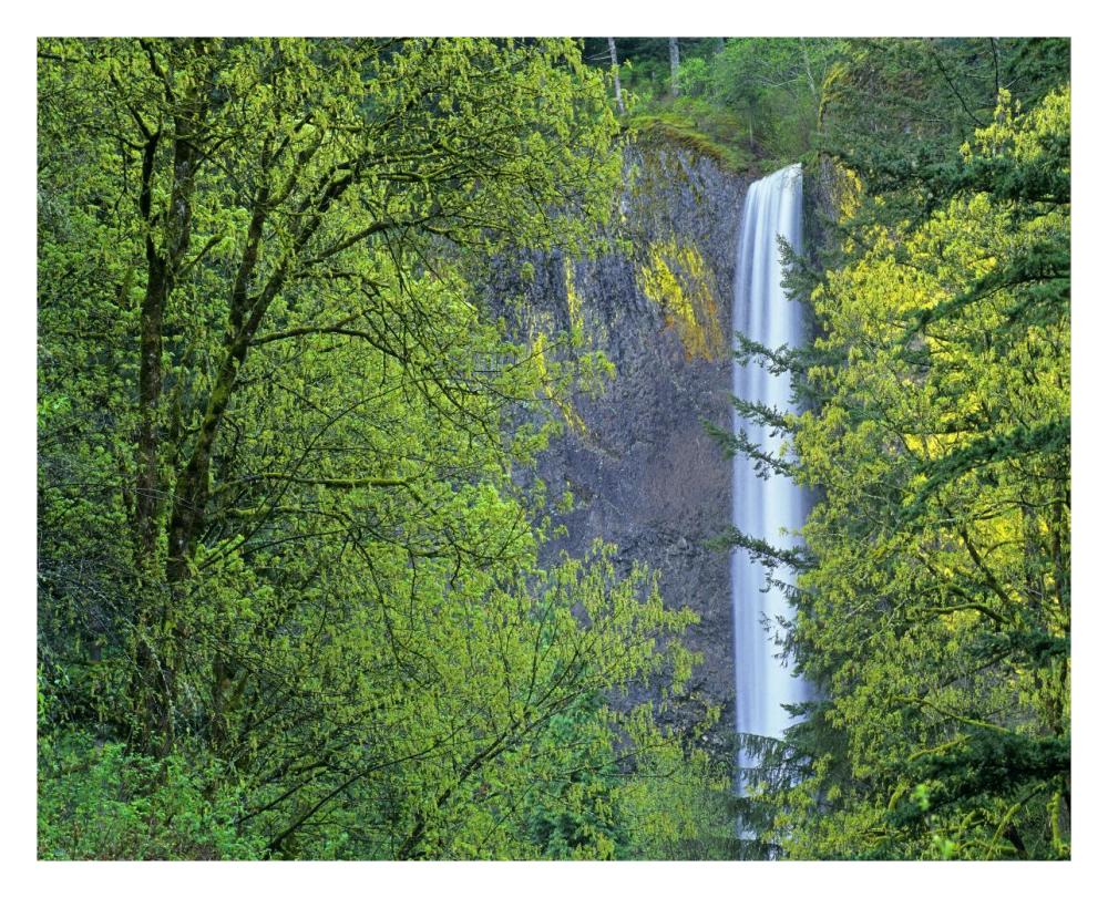 Latourell Falls, Columbia River Gorge Near Portland, Oregon-Paper Art-30X24