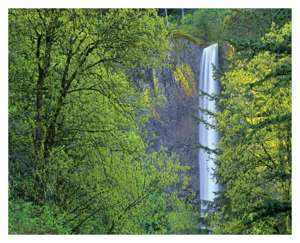Latourell Falls, Columbia River Gorge Near Portland, Oregon-Paper Art-37X30