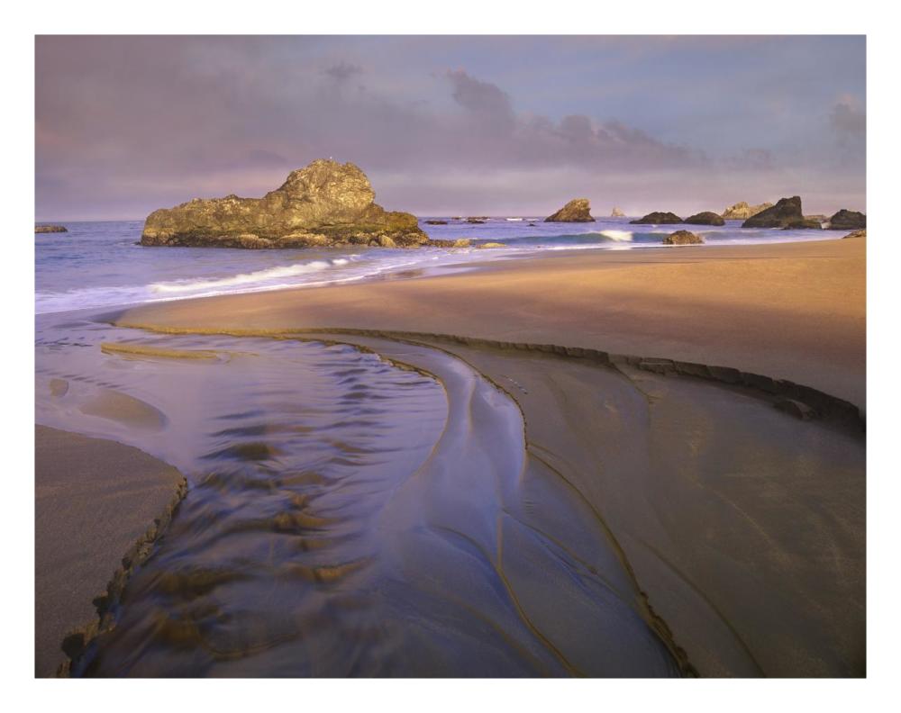 Creek Flowing Into Ocean At Harris Beach State Park, Oregon-Paper Art-26X20