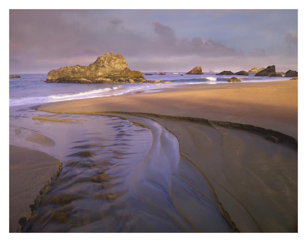 Creek Flowing Into Ocean At Harris Beach State Park, Oregon-Paper Art-34X26