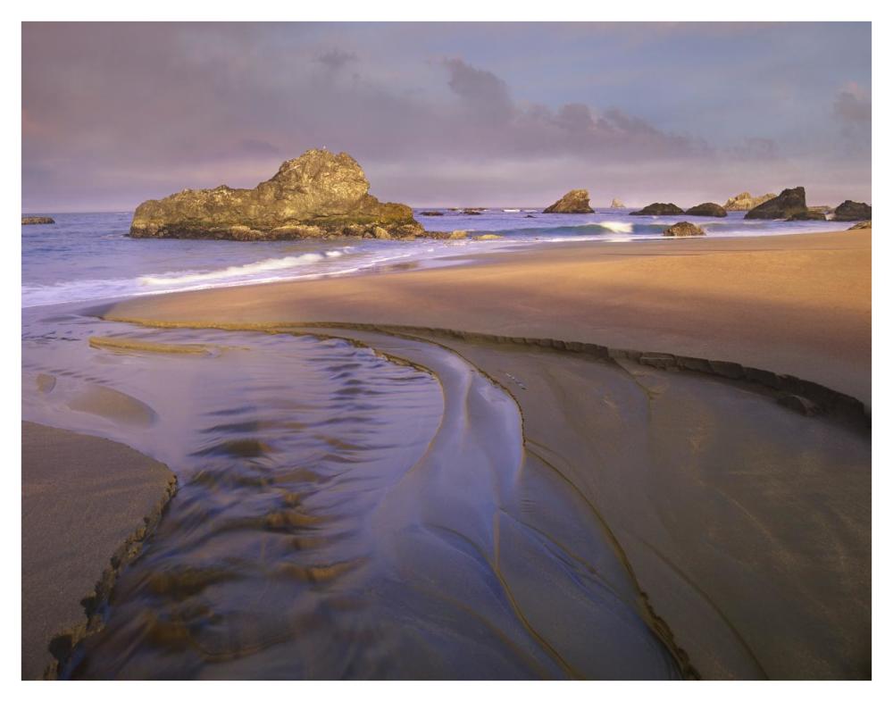 Creek Flowing Into Ocean At Harris Beach State Park, Oregon-Paper Art-42X32
