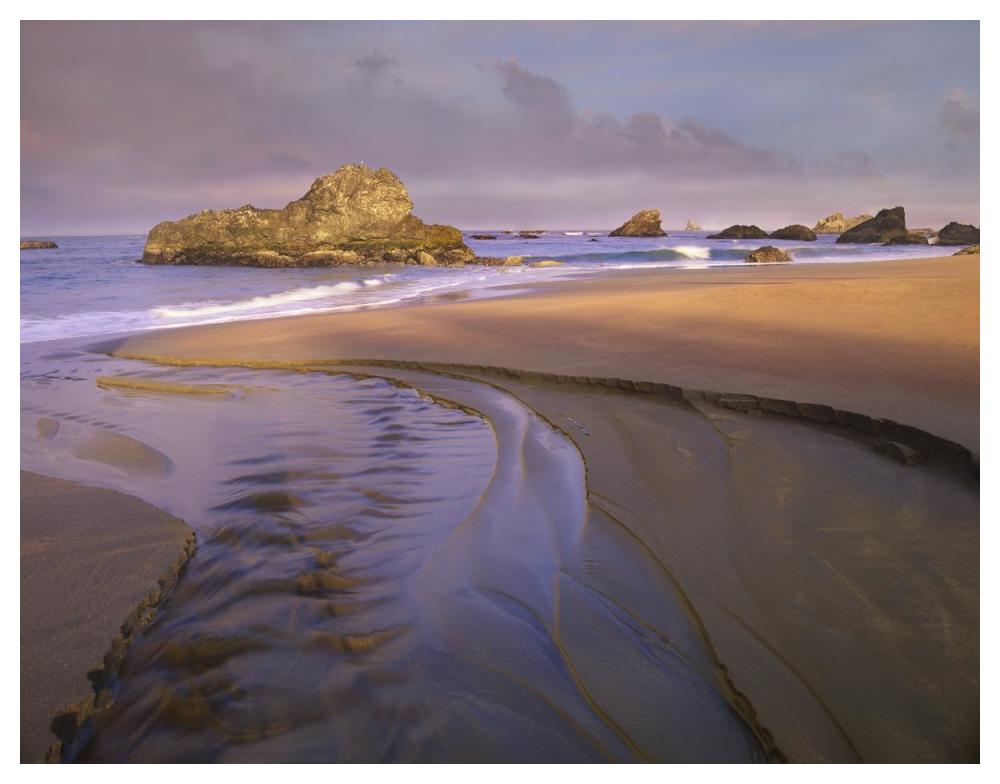 Creek Flowing Into Ocean At Harris Beach State Park, Oregon-Paper Art-50X38