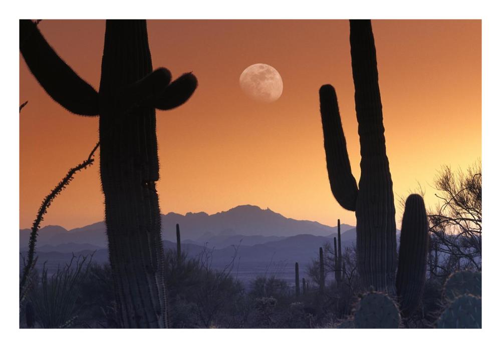 Kitt Peak Under Moon From Saguaro National Monument, Arizona-Paper Art-26X18