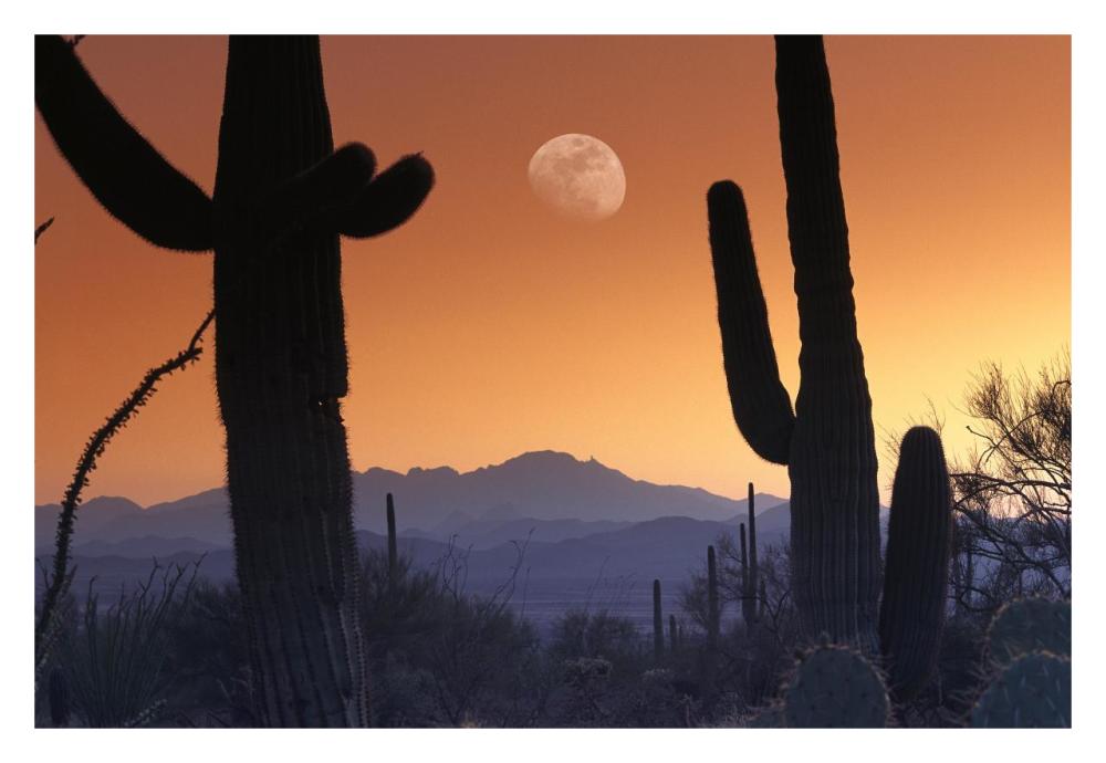 Kitt Peak Under Moon From Saguaro National Monument, Arizona-Paper Art-32X22