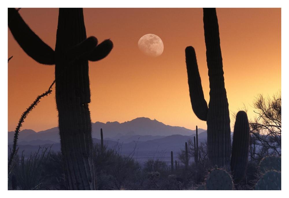 Kitt Peak Under Moon From Saguaro National Monument, Arizona-Paper Art-38X26