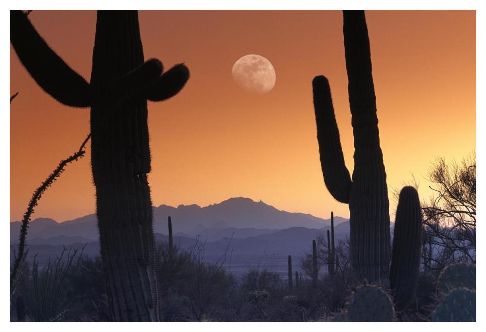 Kitt Peak Under Moon From Saguaro National Monument, Arizona-Paper Art-50X34
