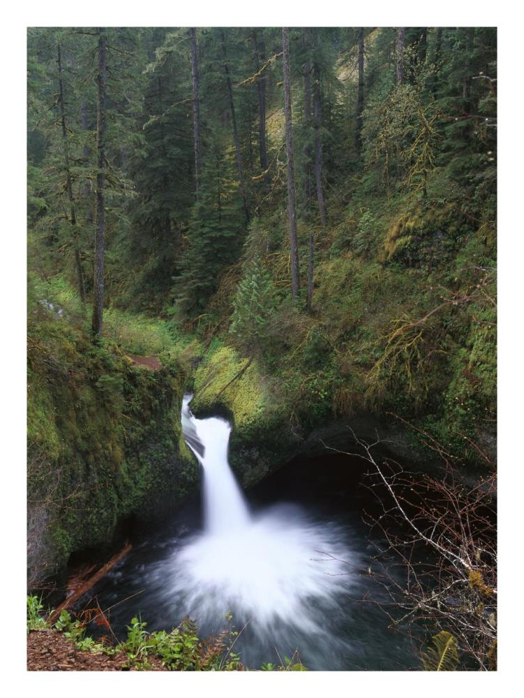 Punchbowl Falls At Eagle Creek, Columbia River Gorge, Oregon-Paper Art-20X26