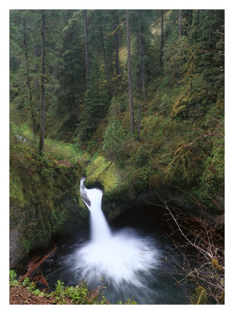 Punchbowl Falls At Eagle Creek, Columbia River Gorge, Oregon-Paper Art-26X34