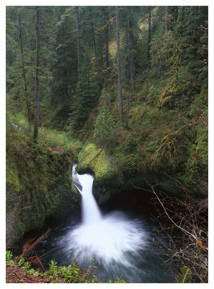 Punchbowl Falls At Eagle Creek, Columbia River Gorge, Oregon-Paper Art-38X50