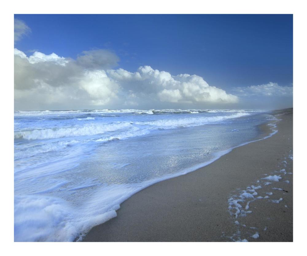 Storm Cloud Over Beach, Canaveral National Seashore, Florida-Paper Art-22X18