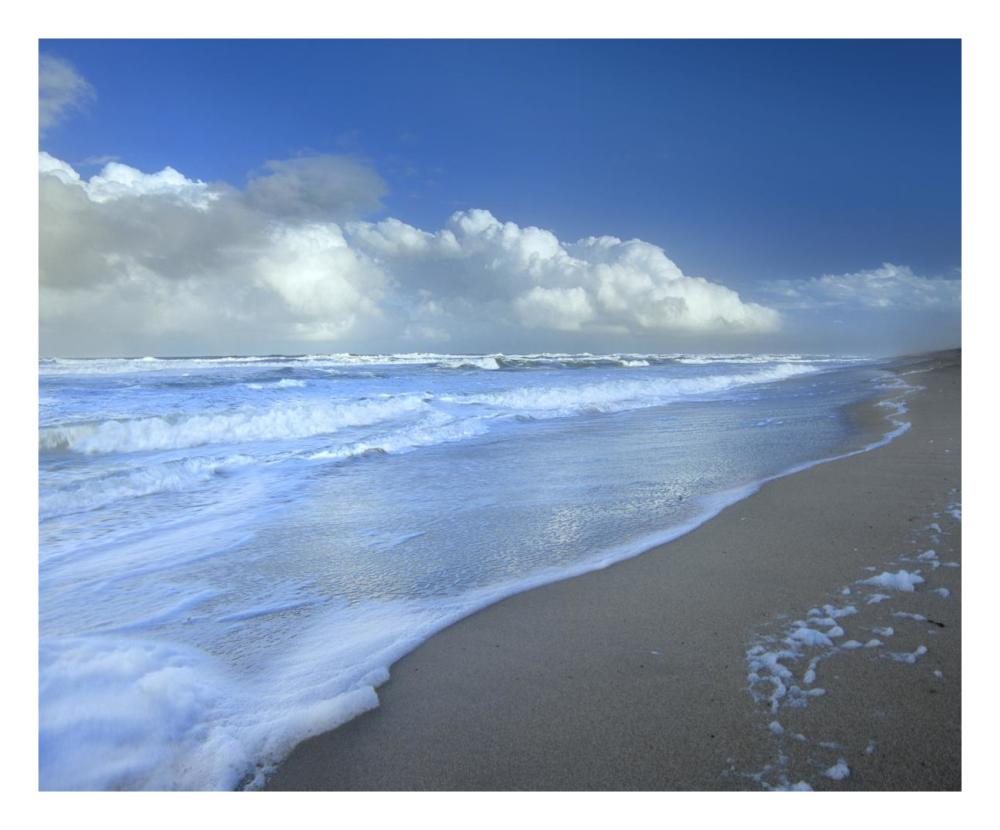Storm Cloud Over Beach, Canaveral National Seashore, Florida-Paper Art-26X22