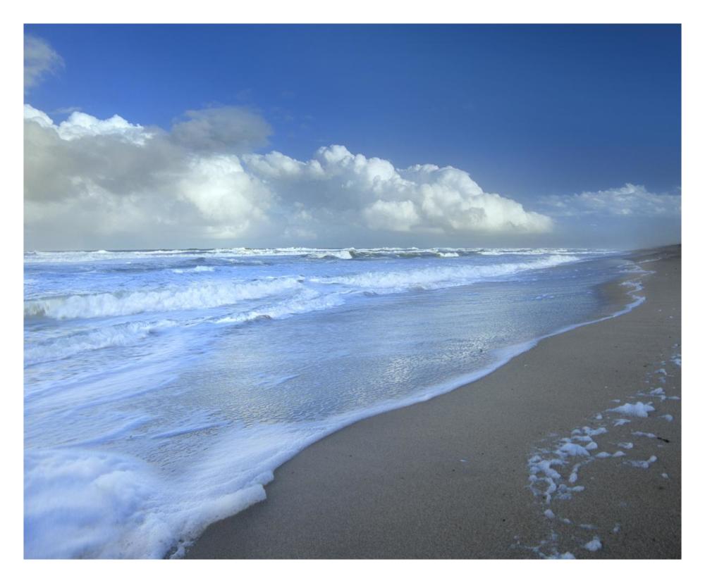 Storm Cloud Over Beach, Canaveral National Seashore, Florida-Paper Art-30X24