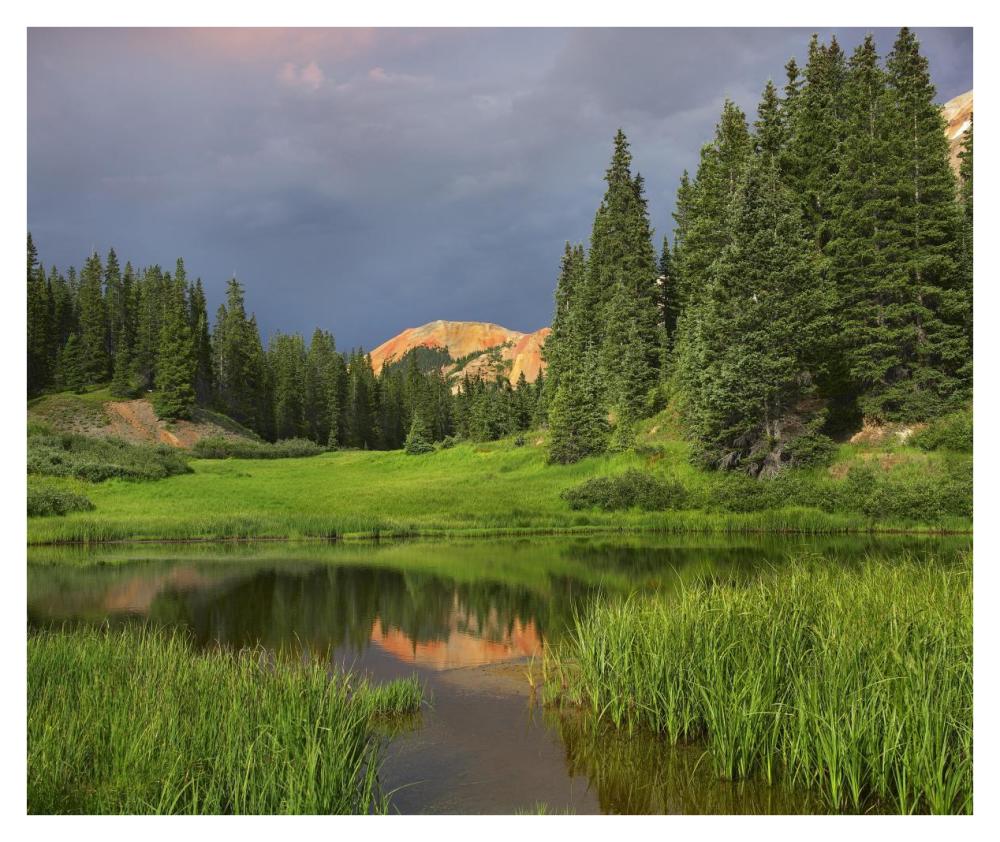 Red Mountain Reflected In Pond, San Juan Mountains, Colorado-Paper Art-38X31.88