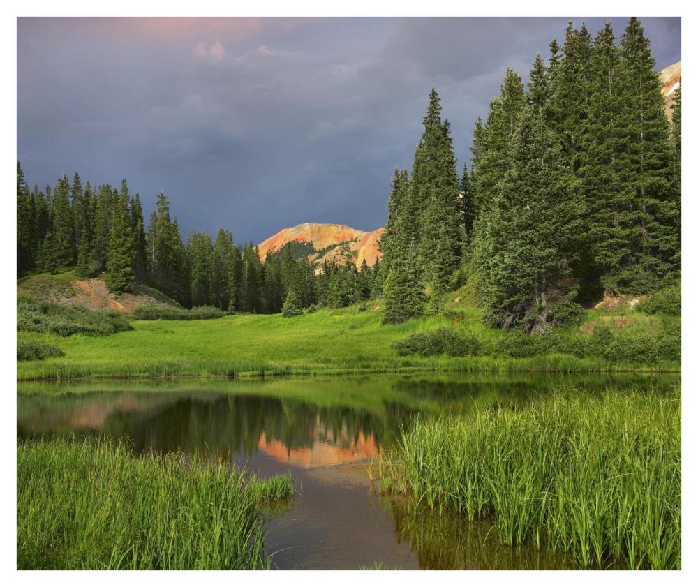 Red Mountain Reflected In Pond, San Juan Mountains, Colorado-Paper Art-42X35.2