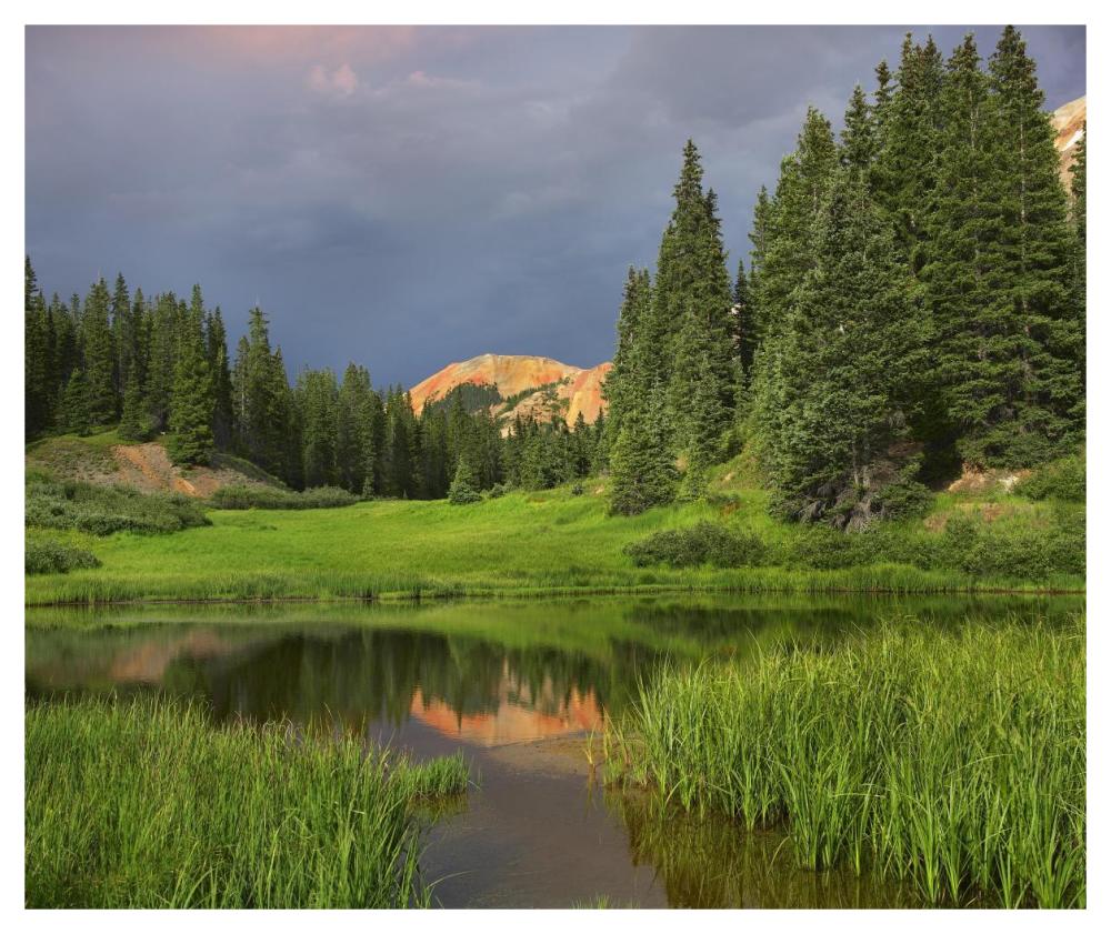 Red Mountain Reflected In Pond, San Juan Mountains, Colorado-Paper Art-46X38.52