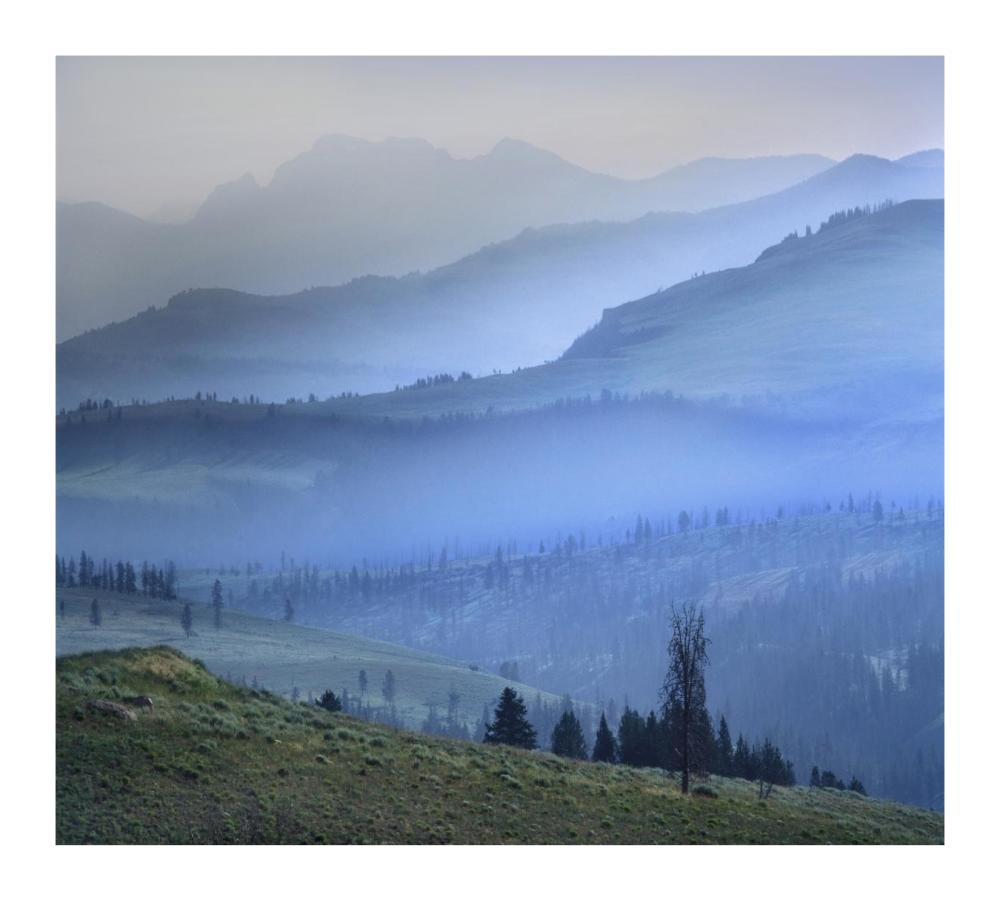 Mist Over Absaroka Range, Yellowstone National Park, Wyoming-Paper Art-18X16.24